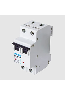 PROTEUS Double Pole AC MCB 20A Type C 10kA